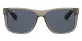 Rubber Transparent Gray / Dark Gray