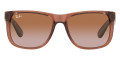 Transparent Light Brown / Gradient Brown