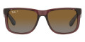 Transparent Dark Brown / Gradient Brown Polarized