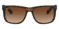 Rubber Light Havana / Brown Gradient Dark Brown