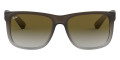 Rubber Brown On Gray / Light Gray Gradient Green