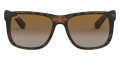 Rubber Havana / Gray Gradient Brown Polarized