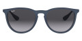 Rubber Blue / Light Gray Gradient Dark Gray