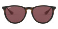 Havana / Dark Violet