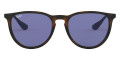 Havana / Dark Violet 639276