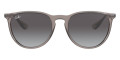 Transparent Gray / Light Gray Gradient Dark Gray