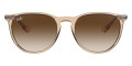 Transparent Light Brown / Brown Gradient Dark Brown
