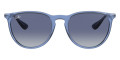 Transparent Blue / Light Gray Gradient Dark Blue