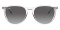 Transparent / Light Gray Gradient Dark Gray