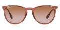 Transparent Light Brown / Gradient Brown