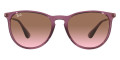 Transparent Violet / Pink Gradient Brown