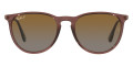 Transparent Dark Brown / Brown Gradient Polarized