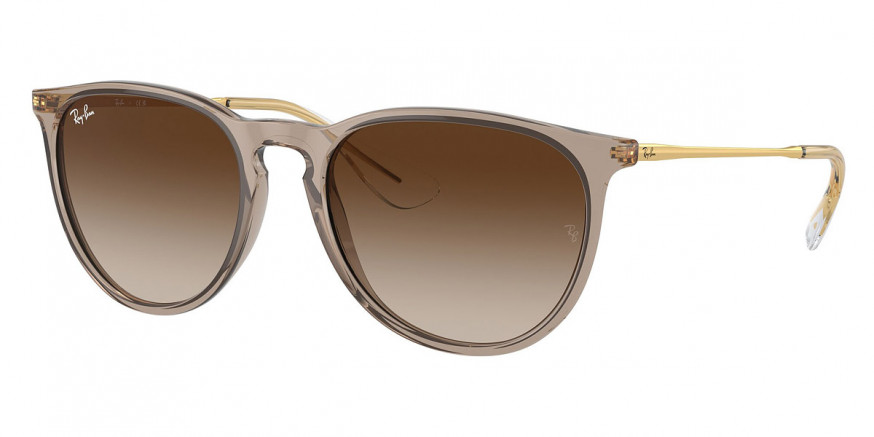 Ray-Ban™ Erika RB4171 674413 54 - Transparent Light Brown/Gold