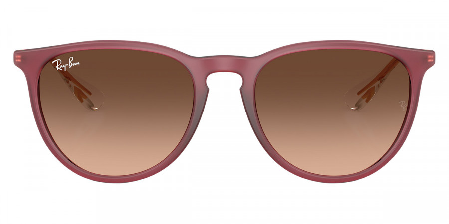 Ray-Ban™ Erika RB4171 6815A5 54 - Rubber Violet