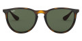 Light Havana / Dark Green