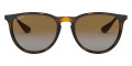 Light Havana / Gray Gradient Brown Polarized