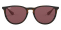 Havana / Dark Violet