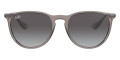 Transparent Gray / Light Gray Gradient Dark Gray