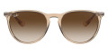 Transparent Light Brown / Brown Gradient Dark Brown