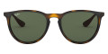 Tortoise / Green Classic G-15