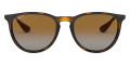 Light Havana / Gray Gradient Brown
