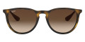 Rubber Havana / Brown Gradient Dark Brown
