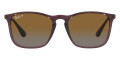 Transparent Brown / Gray Gradient Polarized