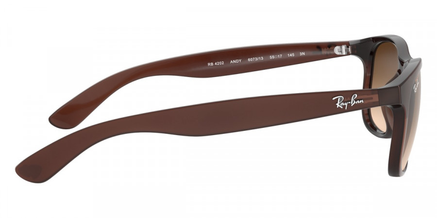 Ray-Ban™ - Andy RB4202