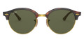 Red Havana / Green
