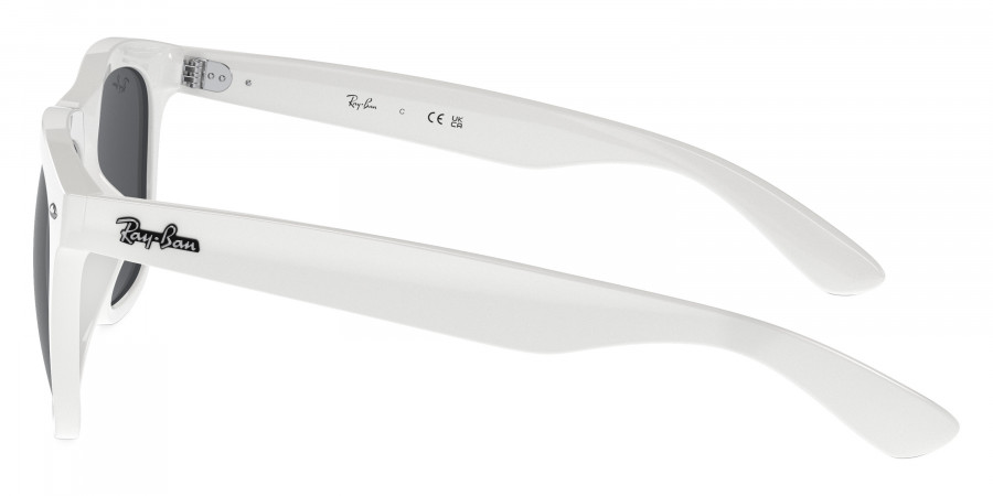 Ray-Ban™ - RB4260D