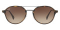 Light Havana / Brown Gradient