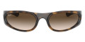 Light Havana / Brown Gradient Dark Brown