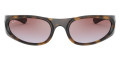 Havana / Light Blue Gradient Violet