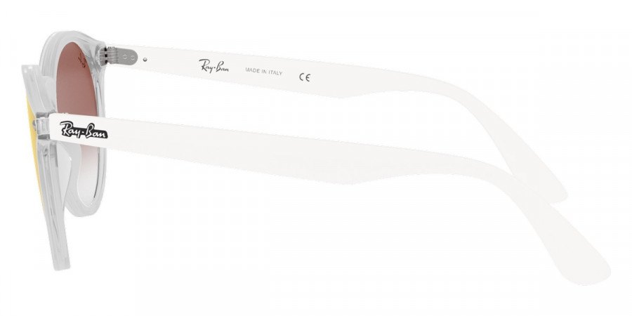 Ray-Ban™ - Blaze Panthos RB4380N