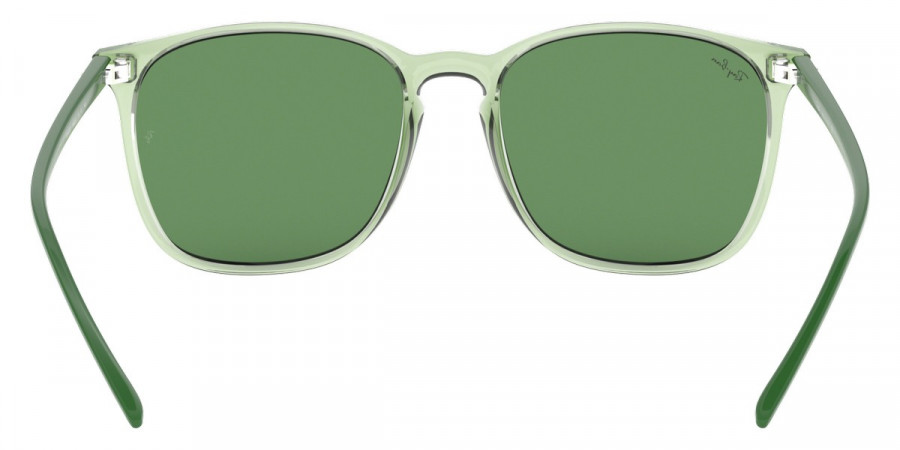 Ray-Ban™ - RB4387