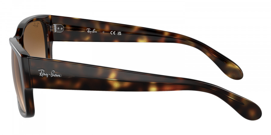 Ray-Ban™ - RB4388