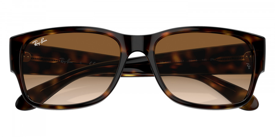 Ray-Ban™ - RB4388