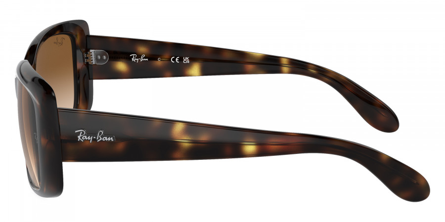 Ray-Ban™ - RB4389