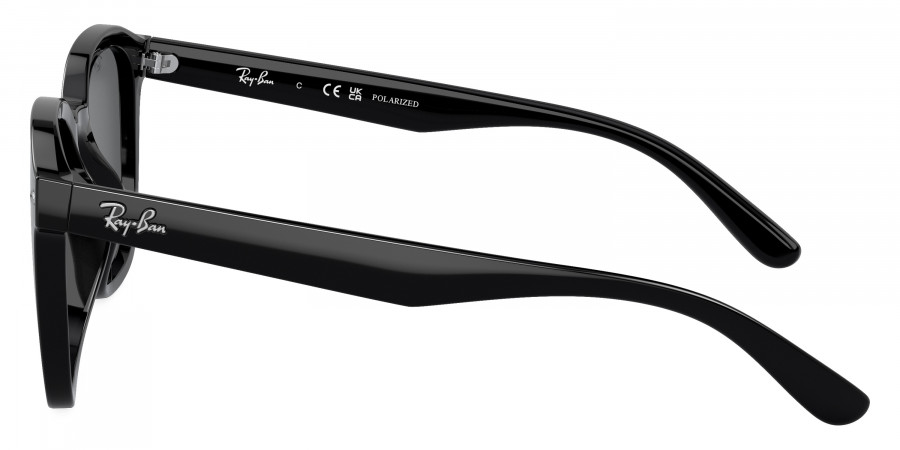 Ray-Ban™ - RB4392D