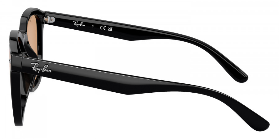 Ray-Ban™ - RB4392D