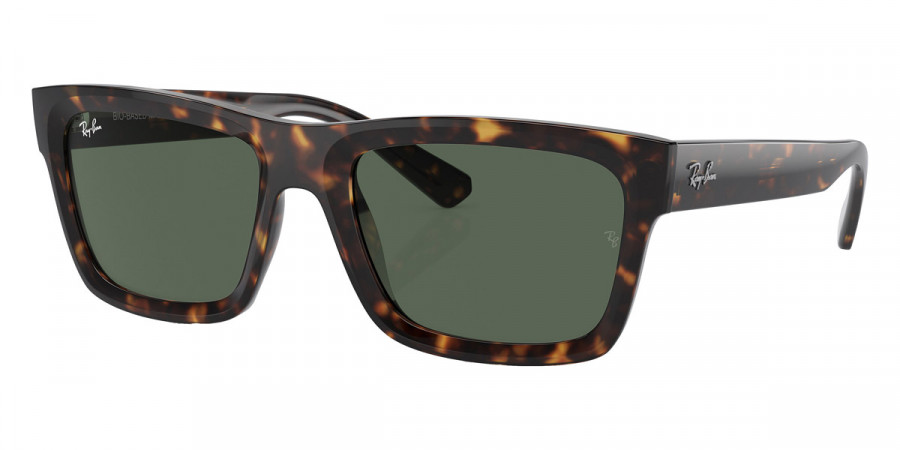 Ray-Ban™ - Warren RB4396F