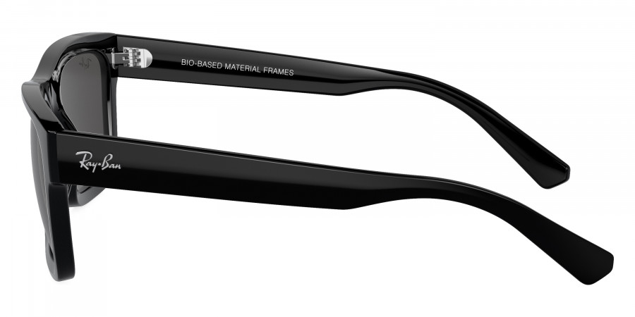 Ray-Ban™ - Warren RB4396F