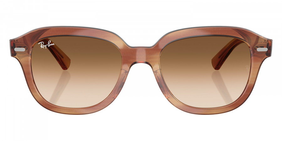 Ray-Ban™ - Erik RB4398