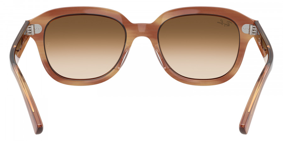 Ray-Ban™ - Erik RB4398