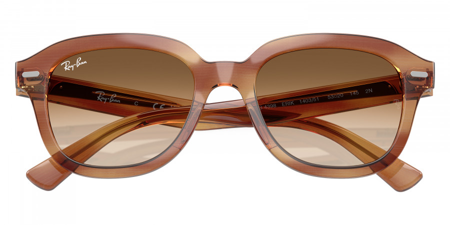 Ray-Ban™ - Erik RB4398