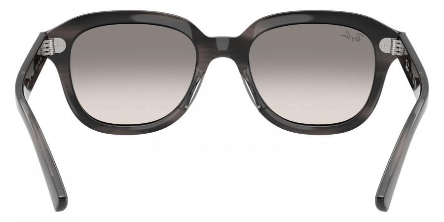 Ray-Ban™ - Erik RB4398