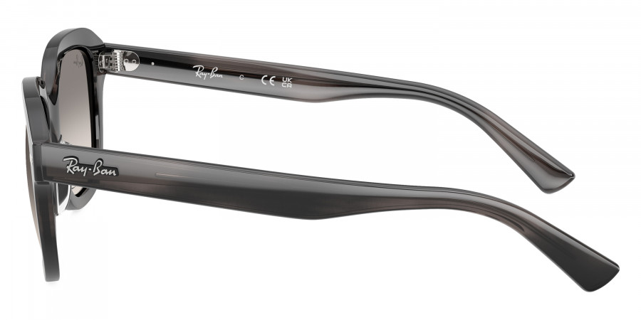 Ray-Ban™ - Erik RB4398F