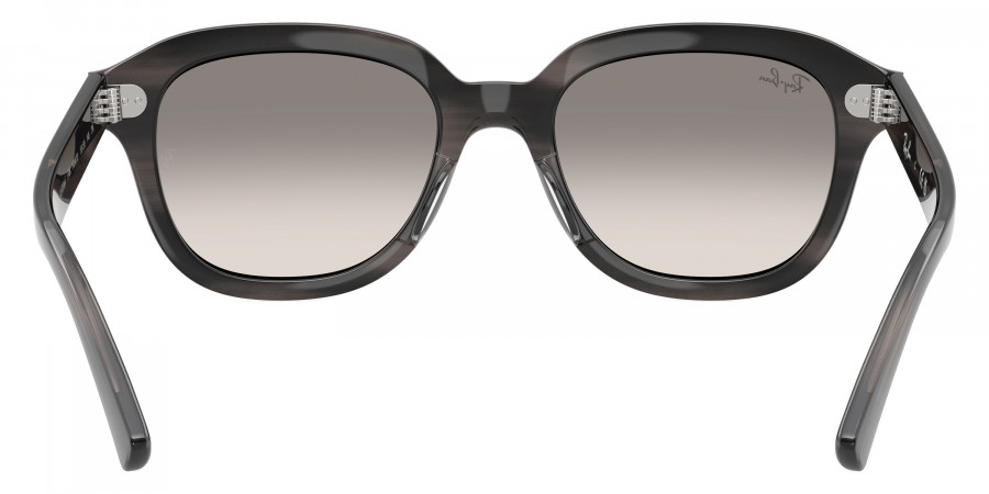 Ray-Ban™ - Erik RB4398F