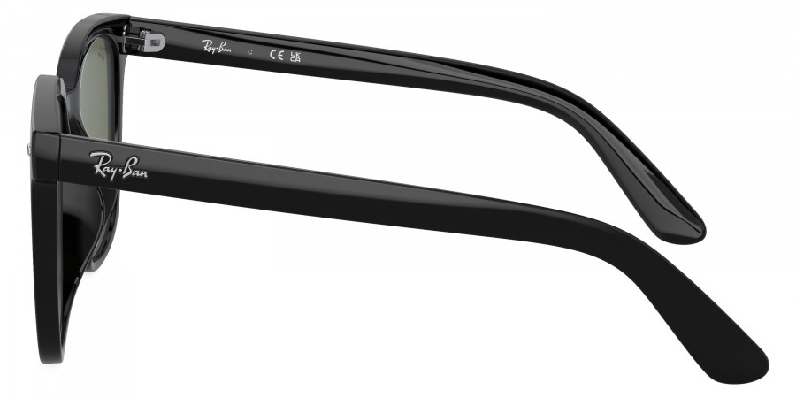 Ray-Ban™ - RB4401D