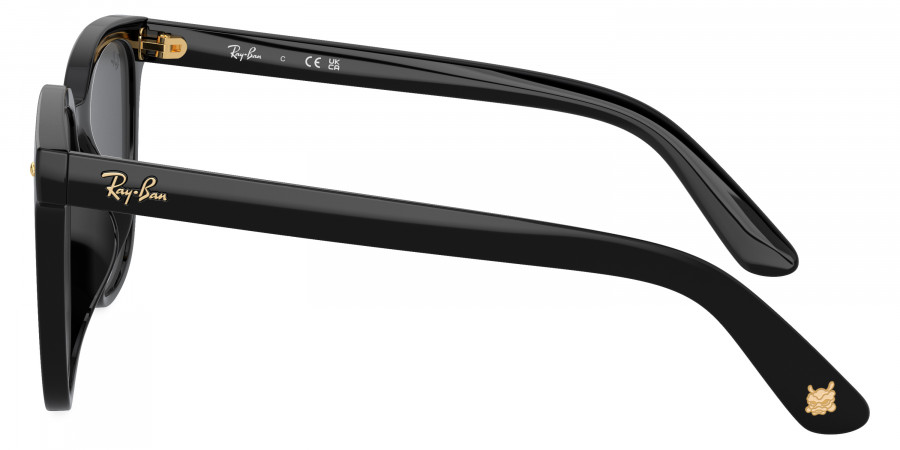 Ray-Ban™ - RB4401D